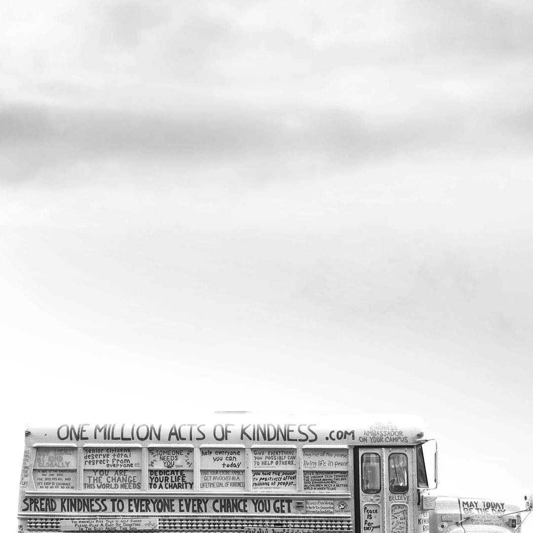 13256777_242936012745843_2012362815_n_17847919729110081