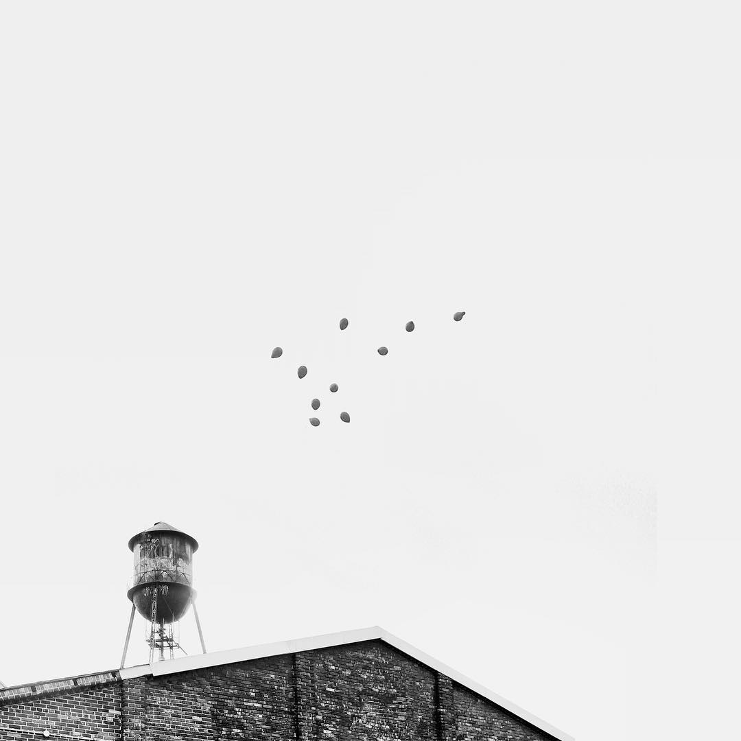 13259600_1775737832658141_1711510145_n_17856747556007776