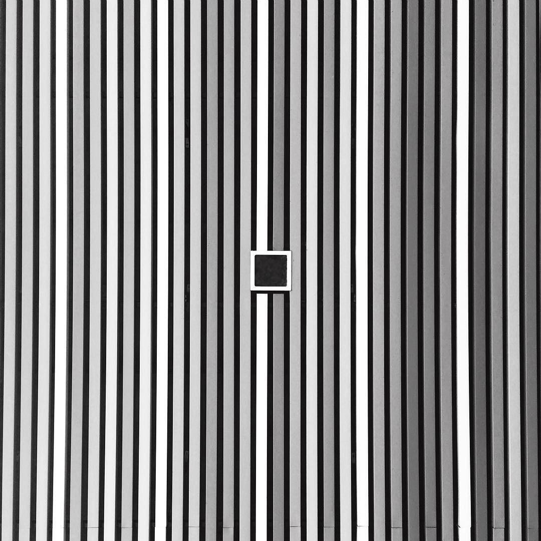 13561544_1572015546433086_154853936_n_17848988638121408