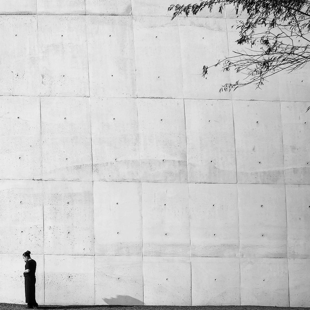 13767559_790374431099940_969723526_n_17853036910067072