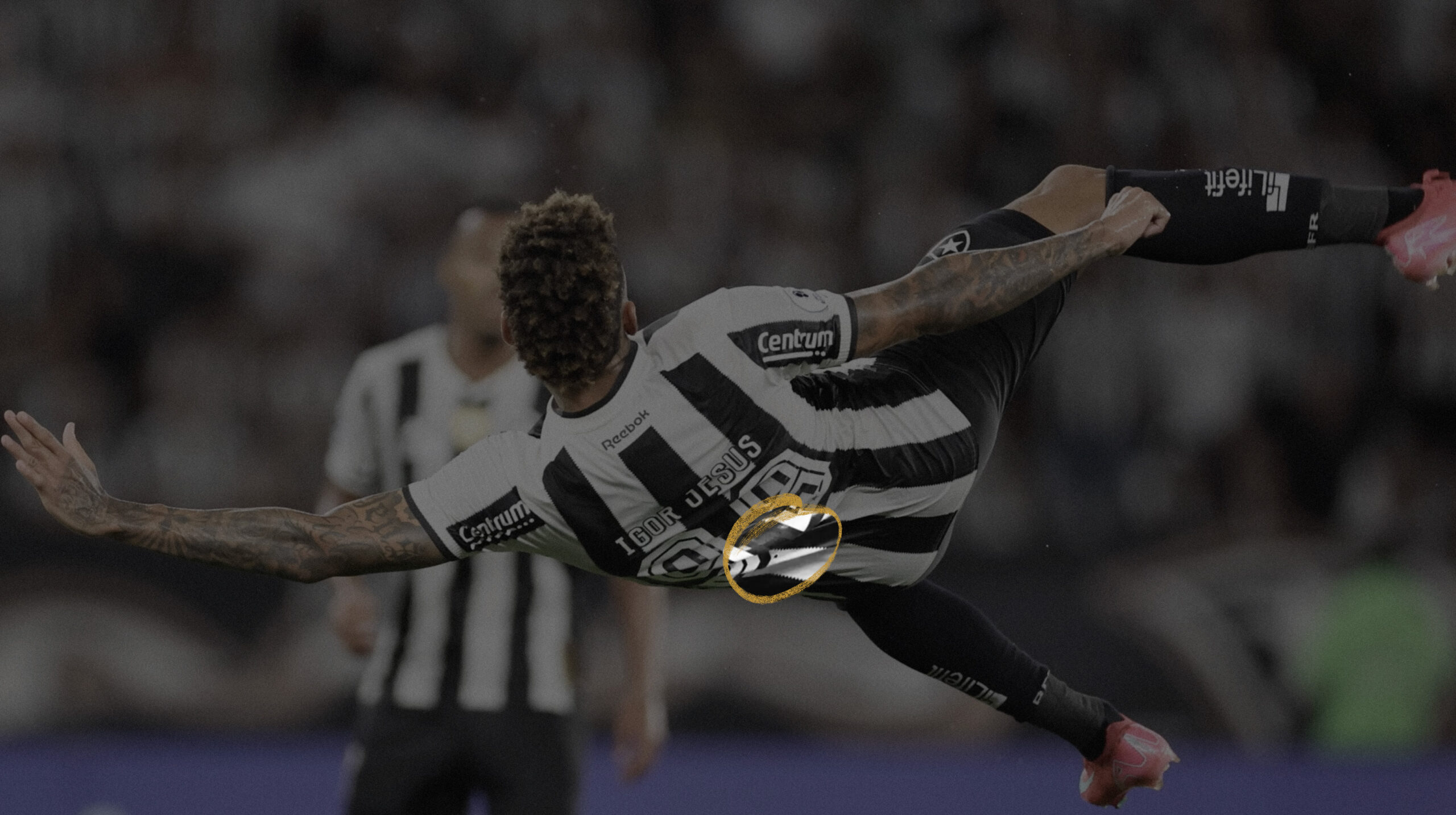 bota_02 bota_02