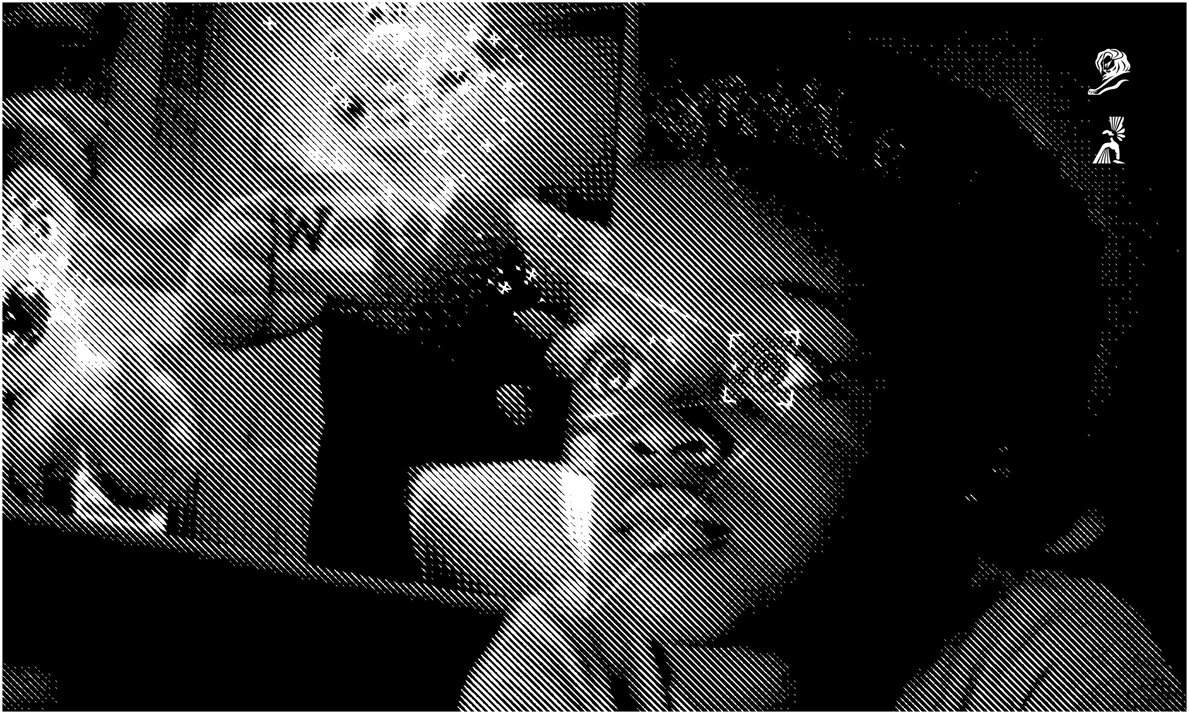 ◼︎ The Earli Show