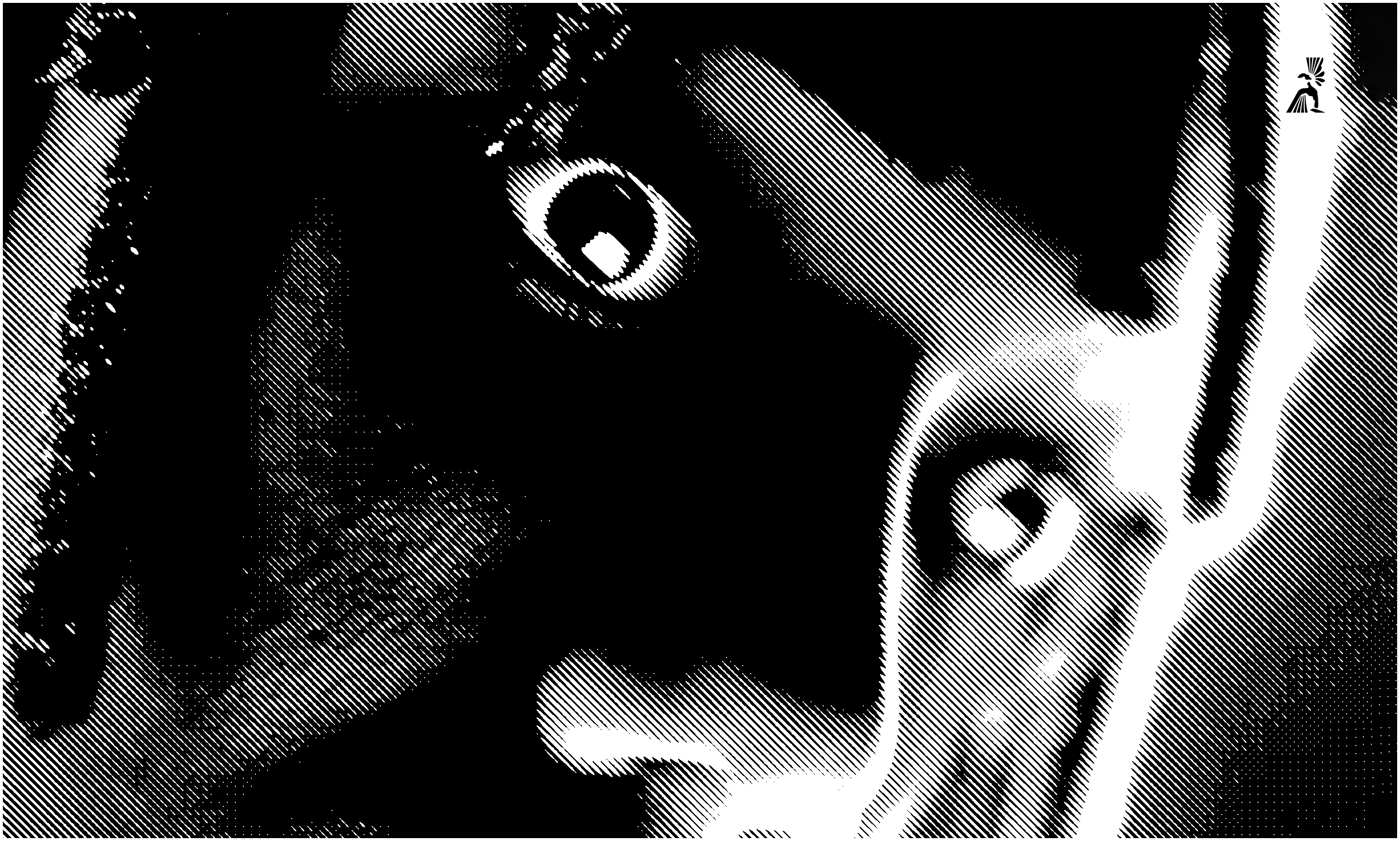 ◼︎ The End of the Internet