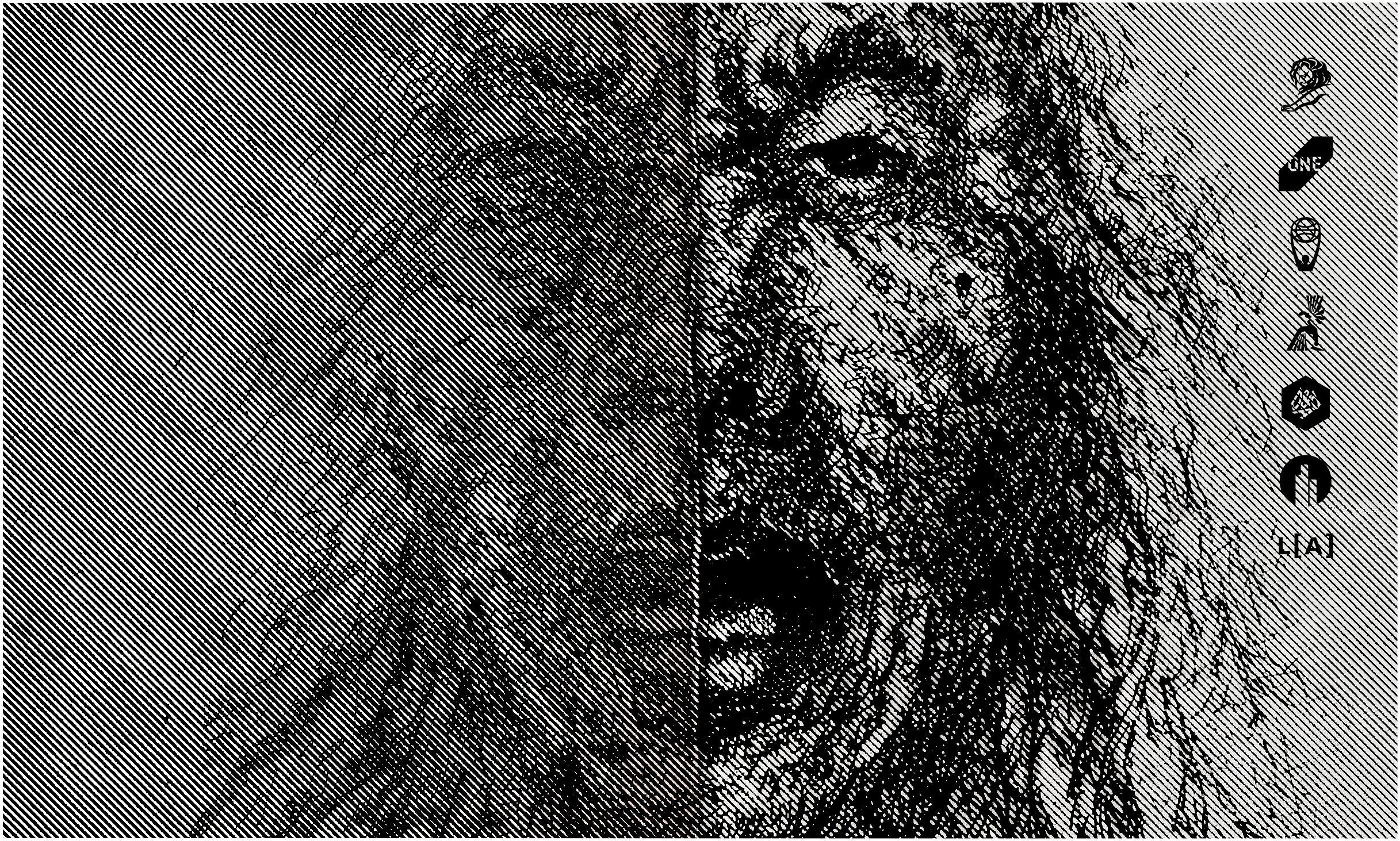 ◼︎ Toxic Portraits