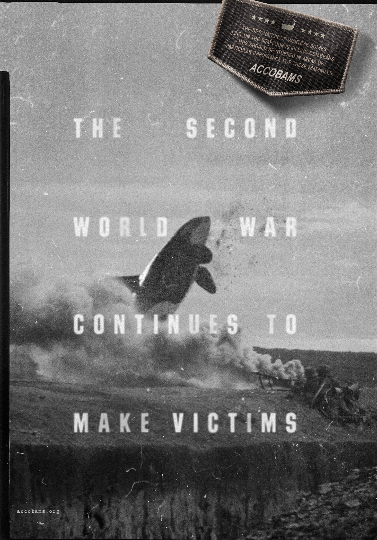 ACCOBAMS_WW2_01