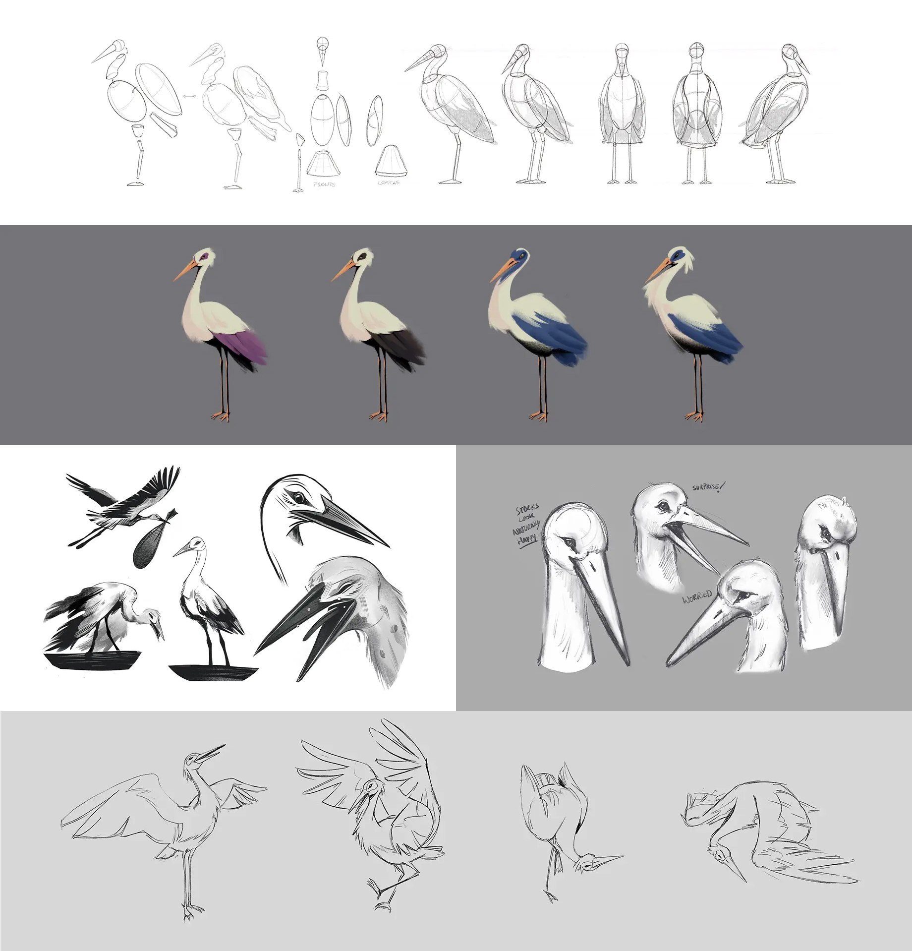 stork_studies