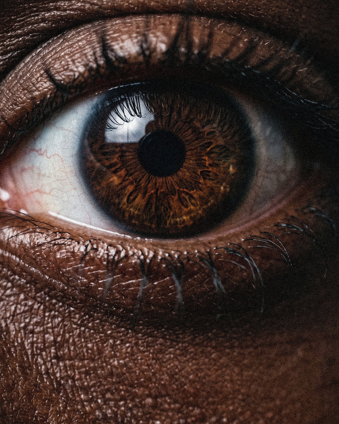 Mind's Eye